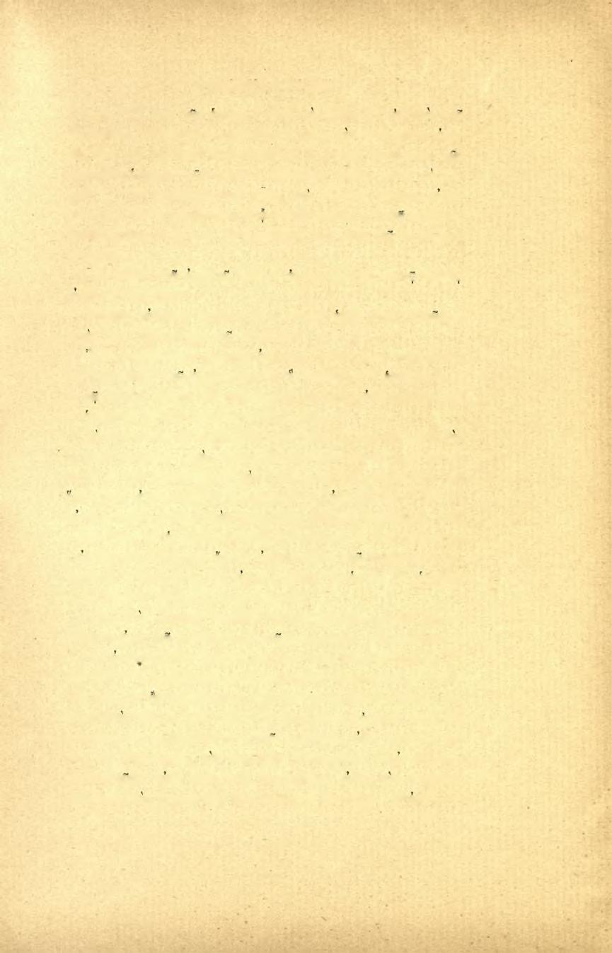 ΠΡΑΚΤΙΚΑ TOT 1898 41 ΙΟ.