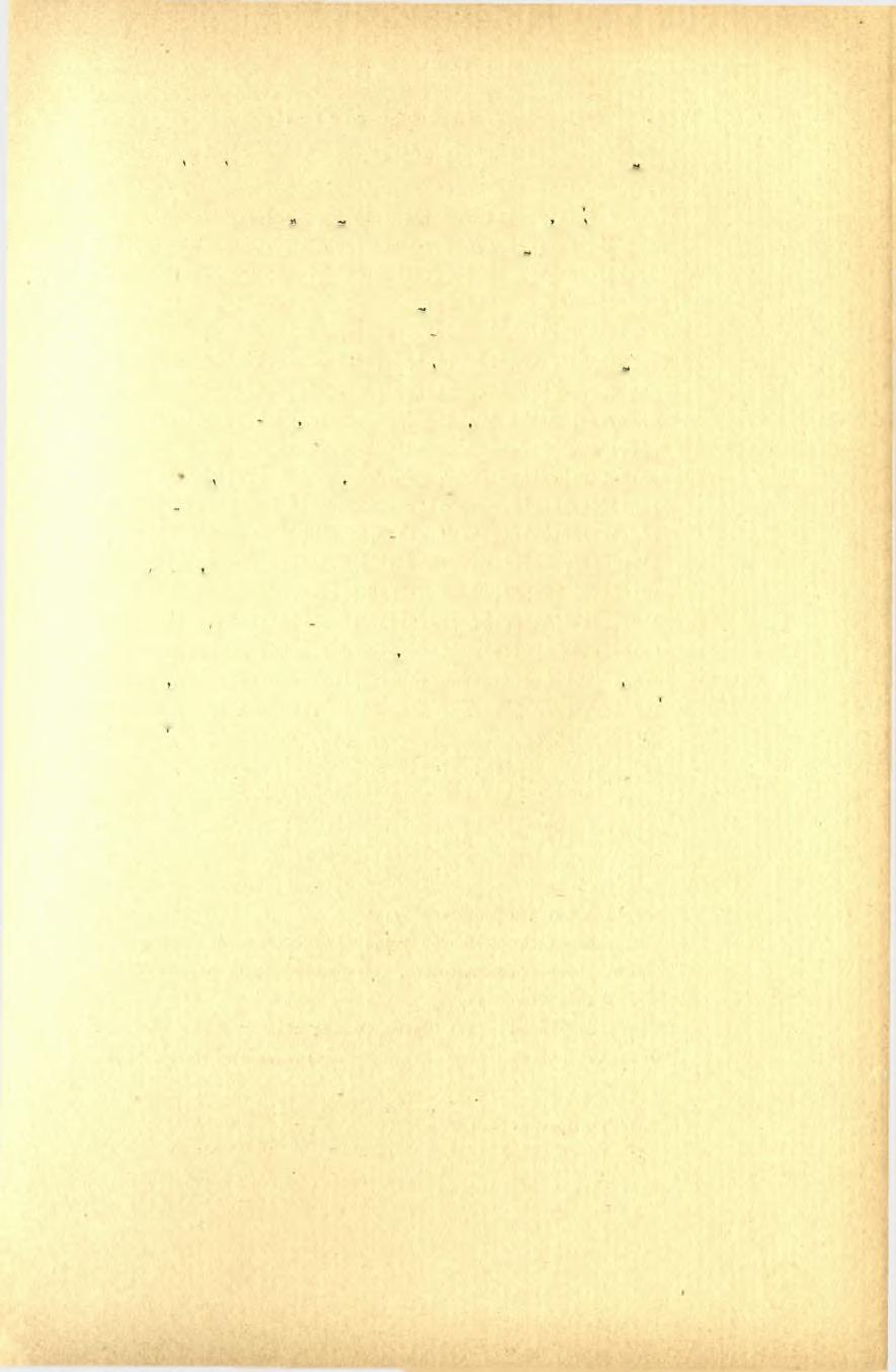 ΠΡΑΚΤΙΚΑ TOY 1898 ΊΊ λείως προς το παρόν.