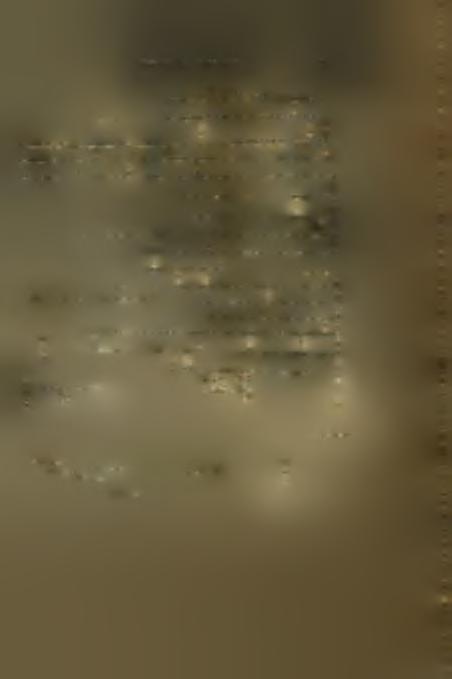 81