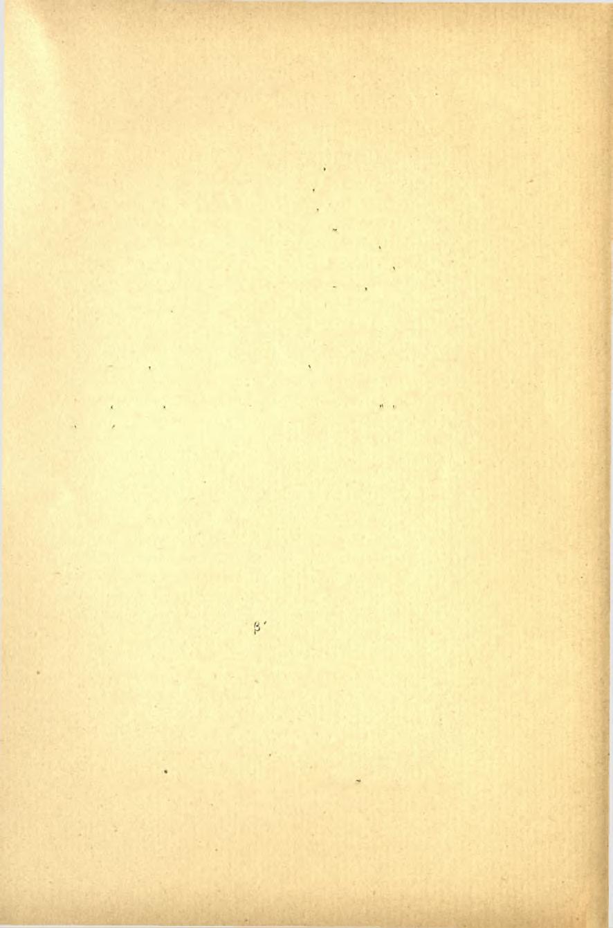 ΠΡΑΚΤΙΚΑ TOT 1898 89 4. ΓΙλάξ τετράπλευρος έκ γλαυκοχρόου μαρμάρου. "Υψος 0,23, πλάτος 0,27.