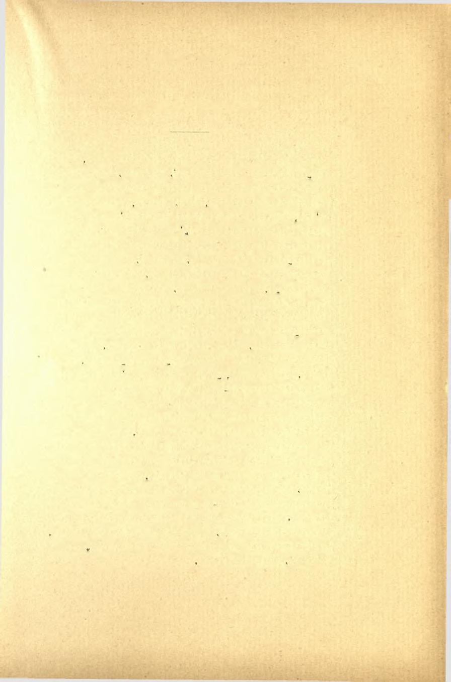 ΠΡΑΚΤΙΚΑ TOT 1898 95 ΑΝΑΣΚΑΦΑΙ ΕΡΕΤΡΙΑΣ Καί εφέτος αί έν Έρετρίικ έργάσίαι περιωρίσθησαν μέχρι τοΰ Νοεμβρίου εις την άνασκαφην τάφων, τόν κύριον σκοπόν της εις Ερέτριαν άποστολής μου, μόνον δέ κατά