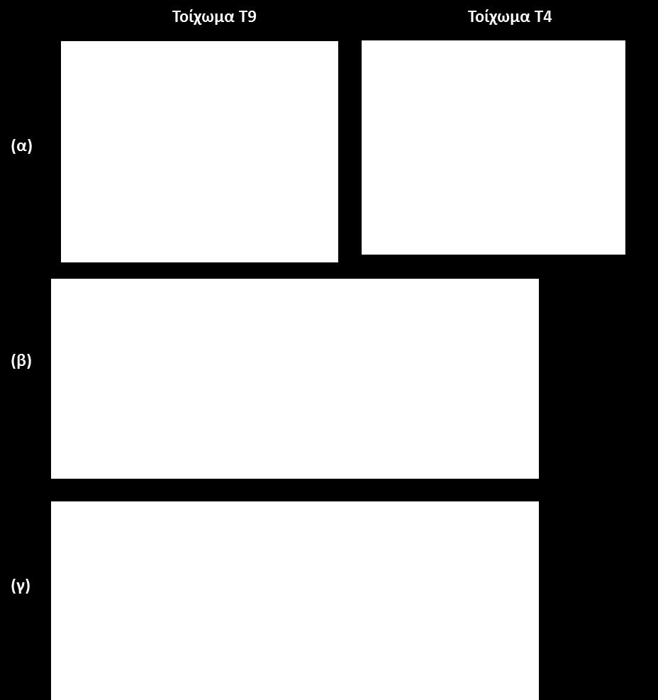 θεμελίων και η συνολική μετατόπιση του τοιχώματος Τ4 στο επίπεδο του πρώτου ορόφου,