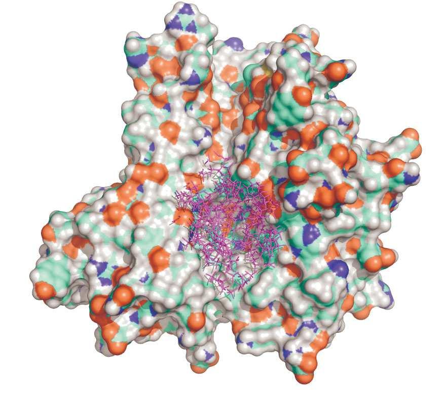 SUPPLEMENTARY ONLINE MATERIAL Supplementary Figure 1 : Binding pocket defined for the structure-basedvirtual screening procedure.