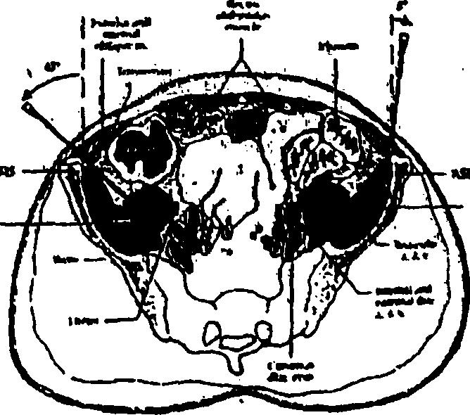 200 2 1 6 5 /id) 1 1 j 1 ^ 1 -,, u. -r---- v '. r; >. ' i.. '! r ««- V P 5 * 4 r«t.