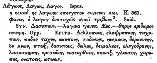 8, 55, 81, 217: lepus multum somni affert, qui illum edit, Cato ap. Diomed. p. 358 P.; Plaut. Pers. 3, 3, 31: auritosque sequi lepores, Verg. G. 1, 308: pavidus, Hor. Epod. 2, 35; id. C. 1, 37, 18: dare semesum leporem, Juv.