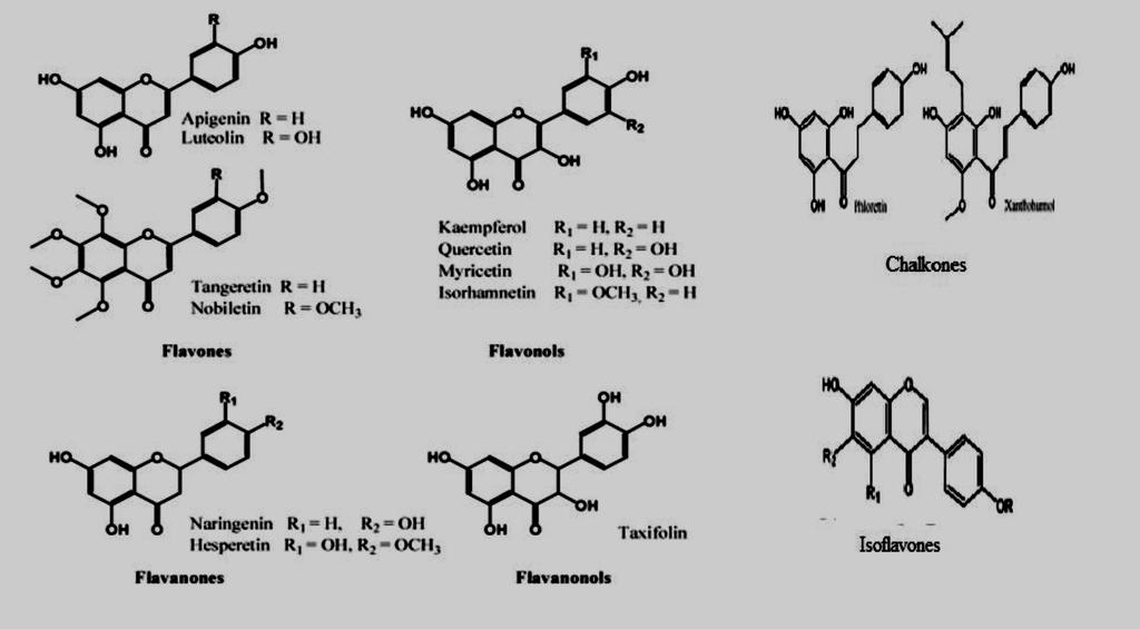 Εικόνα 6: Οι δομές διαφόρων υποκατηγοριών των φλαβονοειδών.