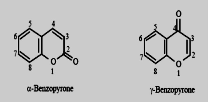 Εικόνα 7: Δομή βενζοπυρονών. Οι κουμαρίνες έχουν μελετηθεί λόγω των βιολογικών δράσεων που φαίνεται να παρουσιάζουν.