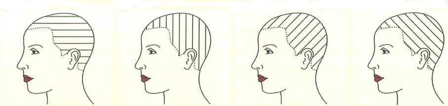 Λοσιόν μαλλιών. (β) Να συμπληρώσετε τον πίνακα 2. ΠΙΝΑΚΑΣ 2 Τύπος βαφής Διάρκεια στα μαλλιά Προσωρινή ( παροδική ) Μέχρι το επόμενο λούσιμο.