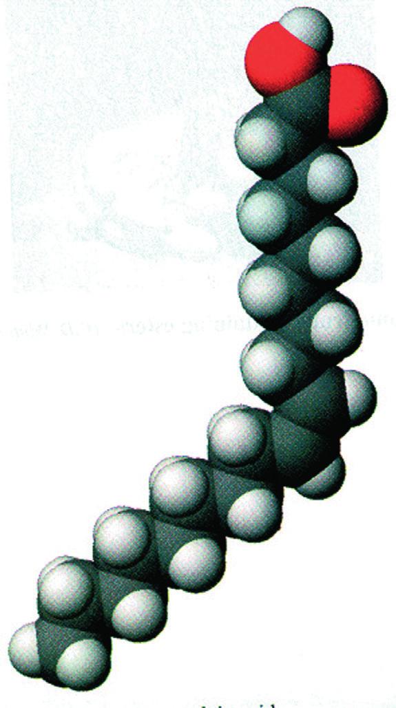 (δωδεκανικό οξύ) CH3(CH2)10COOH, το οποίο υπάρχει στο