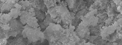 Снимање свих синтерованих узорака рађена су на уређају SEM JEOL JSM-639 LV, на ком