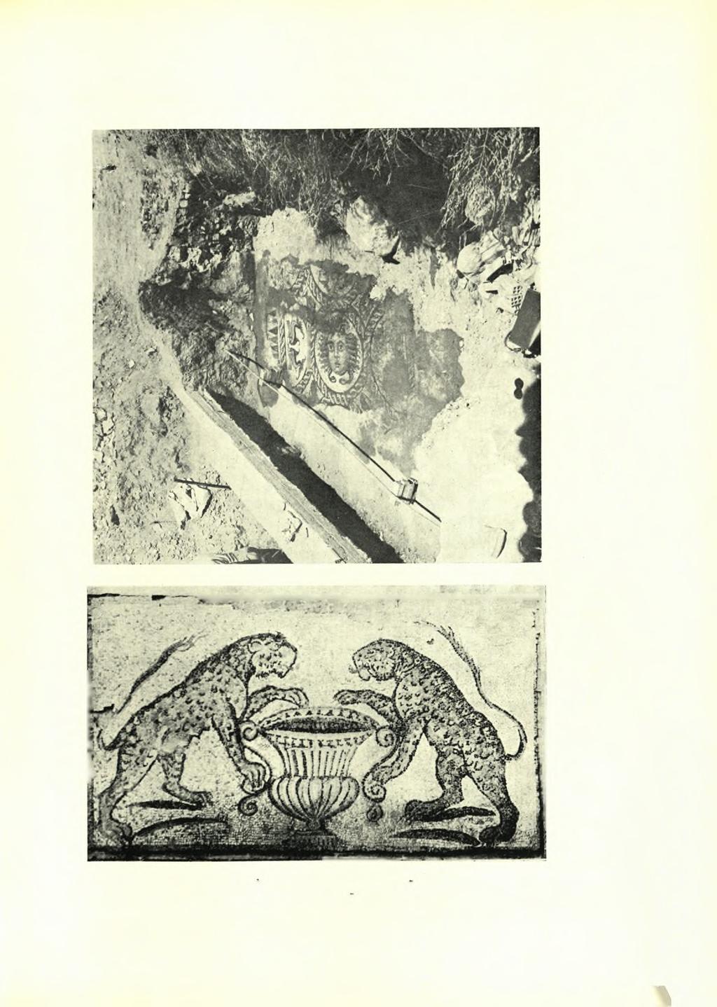 ΧΡΟΝΙΚΑ Α.Δ. 19 (1964) Π1ΝΑΞ 137 Σπάρτη: α.