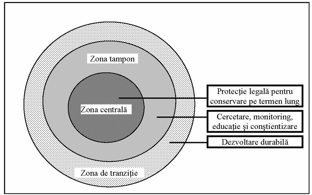 Conservarea naturii Figura 7.17 Zonarea unei rezervaţii a biosferei, cu prezentarea tipurilor de activităţi admise în fiecare din cele trei zone.