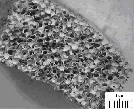 Σχήμα 7.6: Αριστερά: Φωτογραφία από στερεοσκόπιο μεταλλικού αφρού αλουμινίου ανοικτού κελιού.