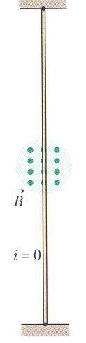 כוח מגנטי על תיל נושא זרם במוליך נושא זרם קיים מטען חשמלי בתנועה. כאשר המוליך מוצב בשדה מגנטי פועל כוח מגנטי על נשאי המטען. כוחות אלו בא לידי ביטוי בכוח הפועל על המוליך כולו.