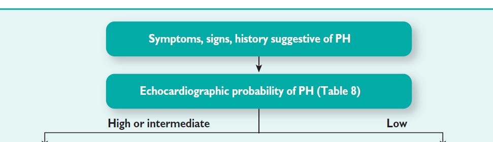 PH Diagnostic algorithm 1 st step