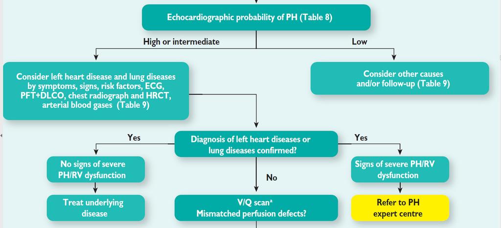 PH Diagnostic algorithm 2 nd step Rule out the most frequent causes: Group 2 (left Heart Disease) and Group 3 (lung diseases) High Resolution CT (HRCT) of the