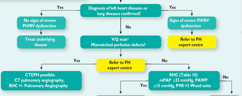 PH Diagnostic algorithm 3 rd step Rule out CTEPH V/Q scan: high sensitivity, high NPV, lower dose than CT But false positives (PVOD, IPAH), underestimation of