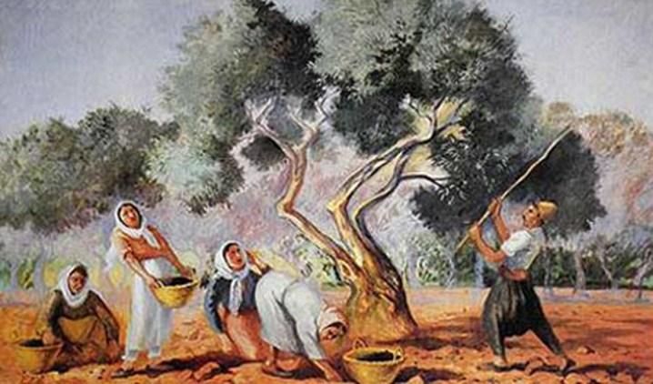 The Greek Olives, the olive tree and its oil have been one of the basic necessities of life and has been since the beginnings of civilisation the main essence of the food of Greece.