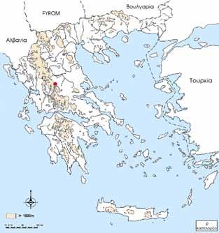 Centaurea messenicolasiana T. Georgiadis, G. Dimitrellos & Routsi Compositae Τρωτό (VU) Centaurea messenicolasiana T. Georgiadis, G. Dimitrellos & Routsi in Willdenowia 25(2): 563 (1996).