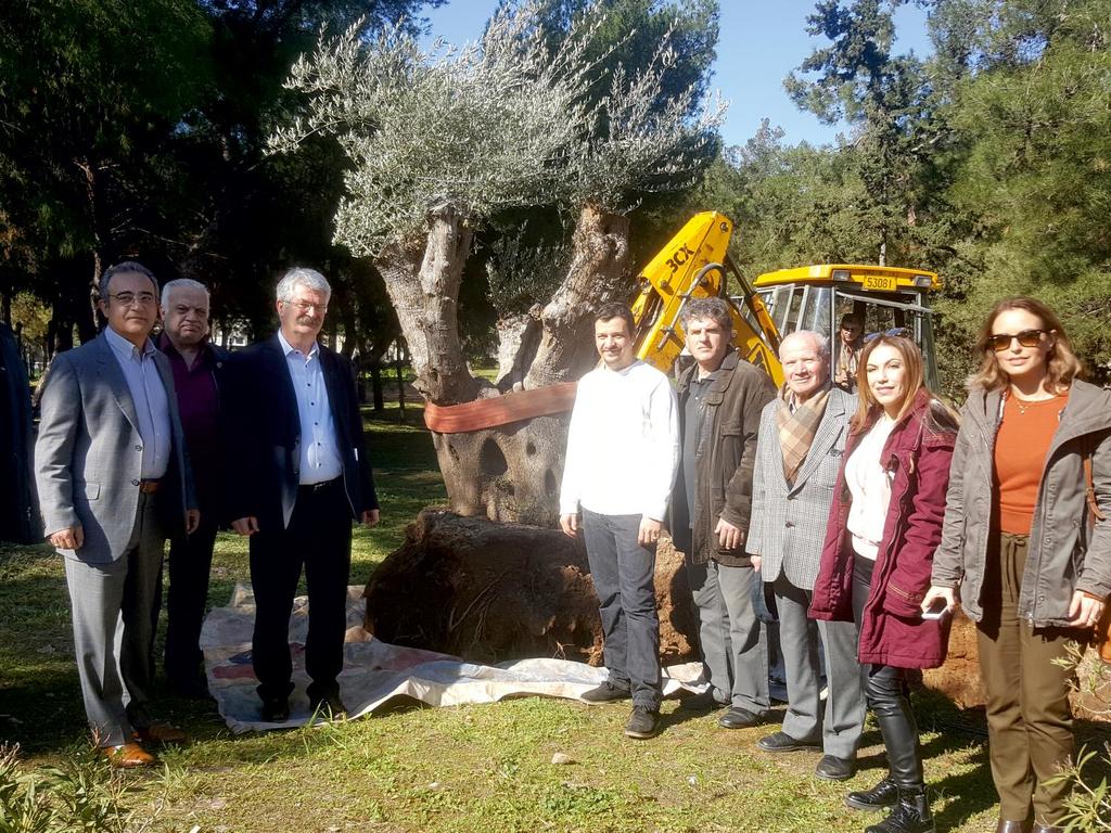 «Ν ανασταίνεις λιόδεντρα είναι το έργο ζωής.