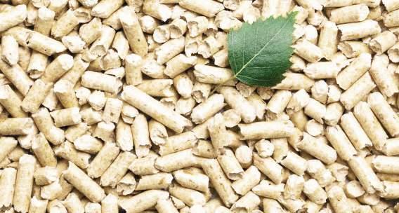 L utilizzo del pellet come fonte di calore con il tempo si è esteso acquisendo sempre nuove applicazioni.