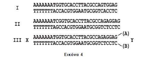 Δ1. Ποια από τις αλληλουχίες της εικόνας 4 αντιστοιχεί στο φυσιολογικό γονίδιο της β-αλυσίδας της HbA και ποια στο γονίδιο β s της δρεπανοκυτταρικής αναιμίας. (μονάδες 2).