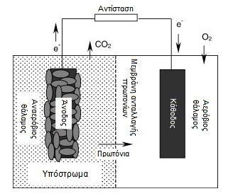 συστήματος ανταλλαγής πρωτονίων ή μέσω γέφυρας άλατος (salt bridge), όπου αντιδρούν με τα ηλεκτρόνια και με το οξυγόνο (ή κάποιον άλλο δέκτη ηλεκτρονίων), παράγοντας νερό (ή κάποιο άλλο ανηγμένο