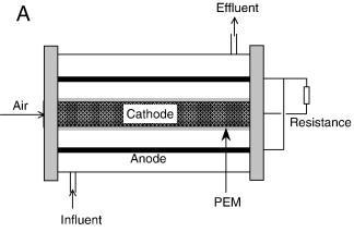 καθοδικό ηλεκτρόδιο είναι εκτεθειμένο στον αέρα καθώς είναι προσκολλημένο στο μέσο που διαχωρίζει τον ανοδικό χώρο από το καθοδικό ηλεκτρόδιο.