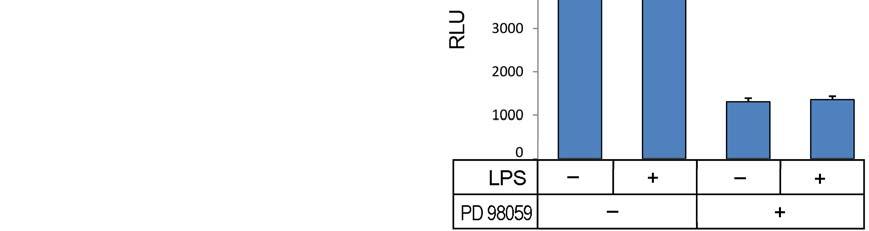 Када су ћелије третиране инхибитором ERK1/2 молекула (PD98059), у присуству или одсуству LPS, показано је да LPS активира ERK1/2 репортер, док га PD98059 инхибира (Слика 4.4. Б).