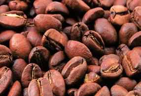 coffee expert Piπuvaat: Anxela STEFANOVSKA, Mateo BARBAROSA Setilna Sanaliza na NauËete da gi prepoznavate dobriot izgled,miris i vkus na espresoto. Samo taka Êe uæivate vo vaπata sekojdneva pauza.
