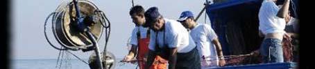 Η Legga Pesca (µία από τις µεγαλύτερες συνοµοσπονδίες επαγγελµατιών ψαράδων στην Ιταλία) είναι