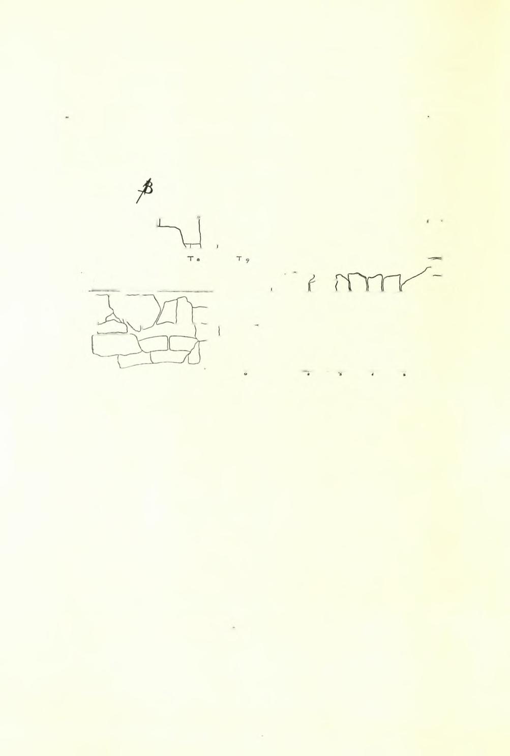 306 ΑΡΧΑΙΟΛΟΓΙΚΟΝ ΔΕΛΤΙΟΝ 19 (1964) : ΧΡΟΝΙΚΑ Βερονικίδα, πρός τιμήν τής πενθεράς του Βερενίκης, συζύγου τού Πτολεμαίου Σωτήρος τής ΑΙγύπτου10.