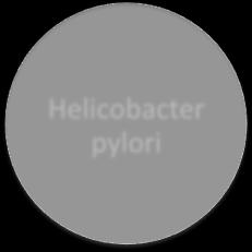 pneumoniae CMV