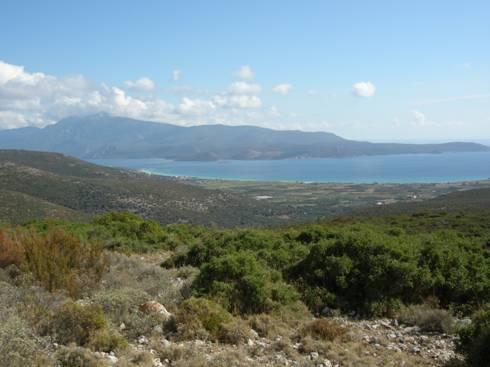 Το βάραθρο βρίσκεται σε ομαλή επιφανειακά περιοχή με θαμνώδη βλάστηση. Η είσοδος του ανοίγετε στα πρανή στρογγυλής επιφανειακής καθίζησης βάθους 1,5μ και διαμέτρου 2μ.