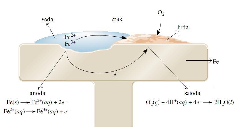 voda), jedan dio istog komada željeza služi kao anoda (troši se) a drugi kao katoda (taloži se hrđa): ukupno: 2Fe(s) + O2(g) + 4H + (aq) 2Fe 2+ (aq) + 2H2O(l) / 2 + zatim 4Fe 2+ (aq) + O2(g) +