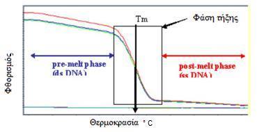 Εικόνα 12: Γραφική παράσταση της έντασης φθορισμού ως προς τη θερμοκρασία σε πειράματα ανάλυσης καμπύλης τήξης.