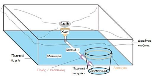 11. Αφήστε τις κατασκευές στον ήλιο για μία εβδομάδα, παρακολουθώντας τες καθημερινά και καταγράφοντας τη στάθμη του νερού που συγκεντρώνεται στο καθένα από τα ποτηράκια συλλογής.