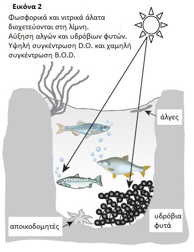 Όμως στην πραγματικότητα, το βιοχημικώς απαιτούμενο οξυγόνο είναι η ποσότητα του οξυγόνου που απαιτείται από τους αποικοδομητές του οικοσυστήματος.