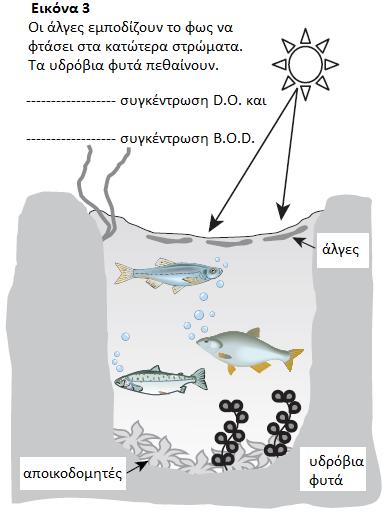 1. Ποια από τις 4 εικόνες δείχνει μία υγιή λίμνη; Δικαιολογήστε