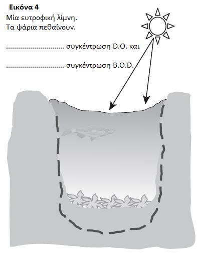 Ποιος όρος χρησιμοποιείται για να περιγράψει την υγιή λίμνη; 3.