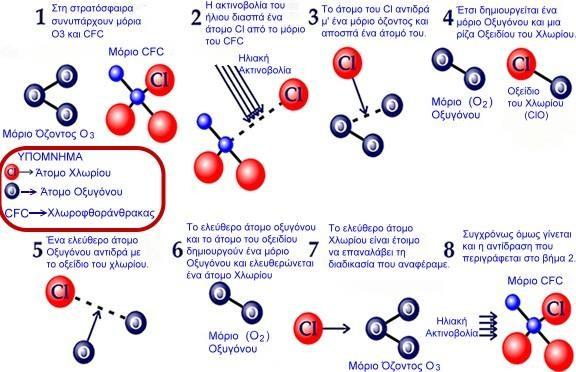 Αυτή η διαδικασία καταστροφής τού όζοντος είναι πολύ έντονη πάνω από την Ανταρκτική και κυρίως κατά τούς ανοιξιάτικους μήνες Σεπτέμβριο και Οκτώβριο, λόγω των χαμηλών θερμοκρασιών που επικρατούν πάνω