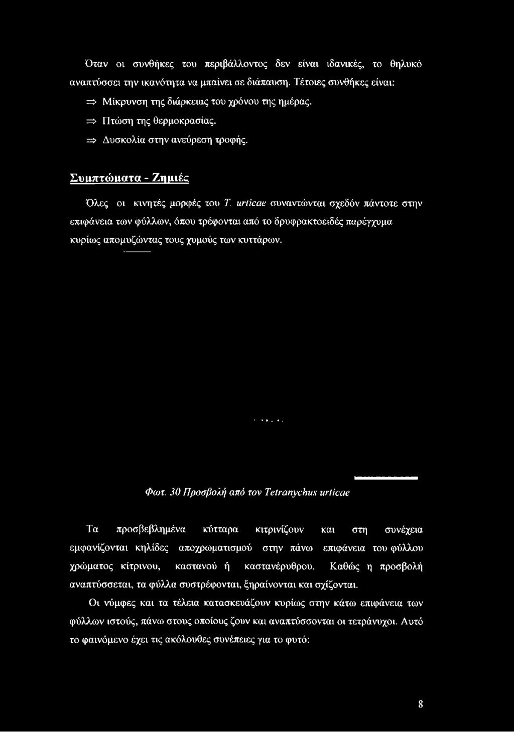 Συαπτώαατα - Ζημιές Όλες οι κινητές μορφές του Τ.