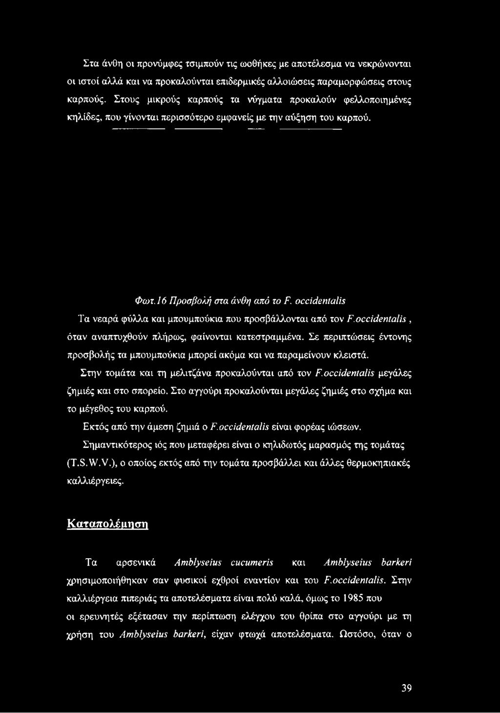 occidentalis μεγάλες ζημιές και στο σπορείο. Στο αγγούρι προκαλούνται μεγάλες ζημιές στο σχήμα και το μέγεθος του καρπού. Εκτός από την άμεση ζημιά ο F.