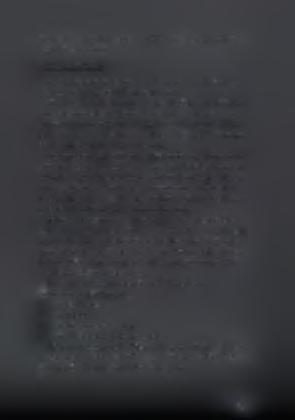θηλυκό είναι μεγαλύτερο και φτάνει τα 2-2,3mm. Το θηλυκό έχει μια καθαρή μαύρη κηλίδα στην κοιλιά.