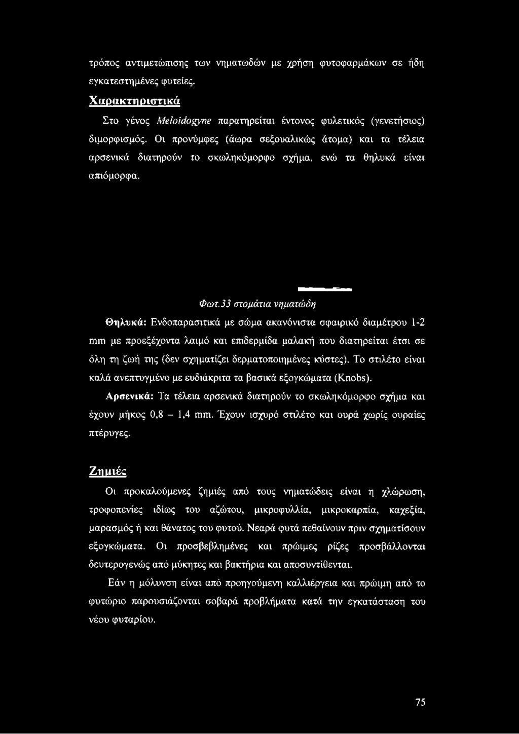 σε όλη τη ζωή της (δεν σχηματίζει δερματοποιημένες κύστες). Το στιλέτο είναι καλά ανεπτυγμένο με ευδιάκριτα τα βασικά εξογκώματα (Knobs).