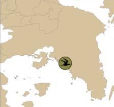 είδη πουλιών 2011 : Παρατήρηση