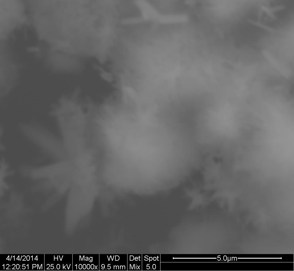 (ε) Εικόνα 8.6. Φωτογραφίες SEM του υλικού 9Z-1:8-4 με μεγεθύνσεις (α: 100x, β:500x, γ:1000x, δ:5000x, ε:10000x) Υλικό 4 (1M-1:5-24) - Εικόνα 8.
