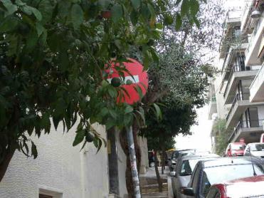 ΛΟΓΙΣΜΙΚΟ ΔΙΑΧΕΙΡΙΣΗΣ ΟΔΙΚΟΥ ΔΙΚΤΥΟΥ/ σήματα PAVER Πόσα σήματα υπάρχουν στους δρόμους του Δήμου? Σε τι κατάσταση είναι?