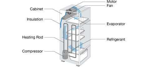 ιάγραµµα 57: Κύρια µέρη ενός ψυγείου Πιο συγκεκριµένα: Συµπιεστής - Compressor: Ο συµπιεστής, που καλύπτεται µε ένα παχύ στρώµα χάλυβα,