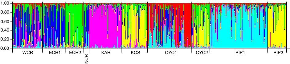 19: Values of ΔΚ plotted for each number of genetically homogenous groups (K) of Spongia officinalis and Hippospongia communis individuals of Aegean origin. Εικόνα 5.